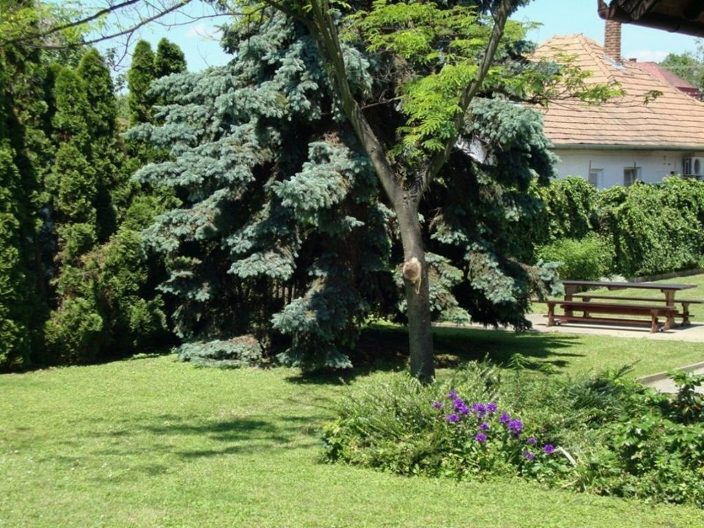 Gyöngyvirág Vendégház Apartamento Balatonboglár Exterior foto